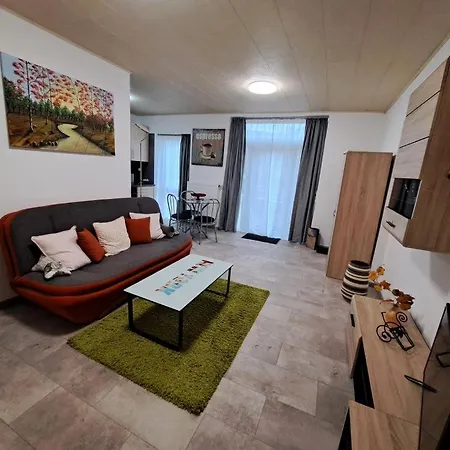 شقة Neu! Zum Alten Baeckerlaedchen نيوماغين-دهرون