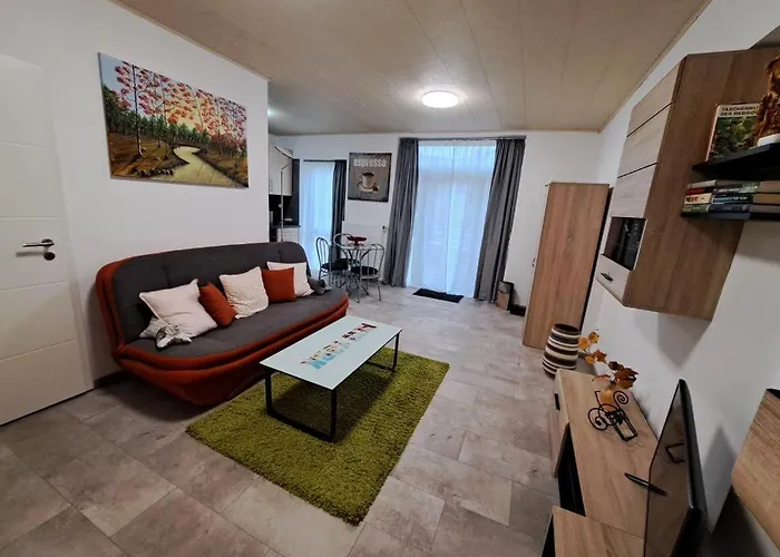 شقة Neu! Zum Alten Baeckerlaedchen نيوماغين-دهرون