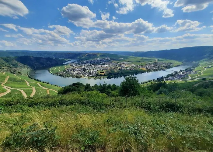 شقة Neu! Zum Alten Baeckerlaedchen نيوماغين-دهرون